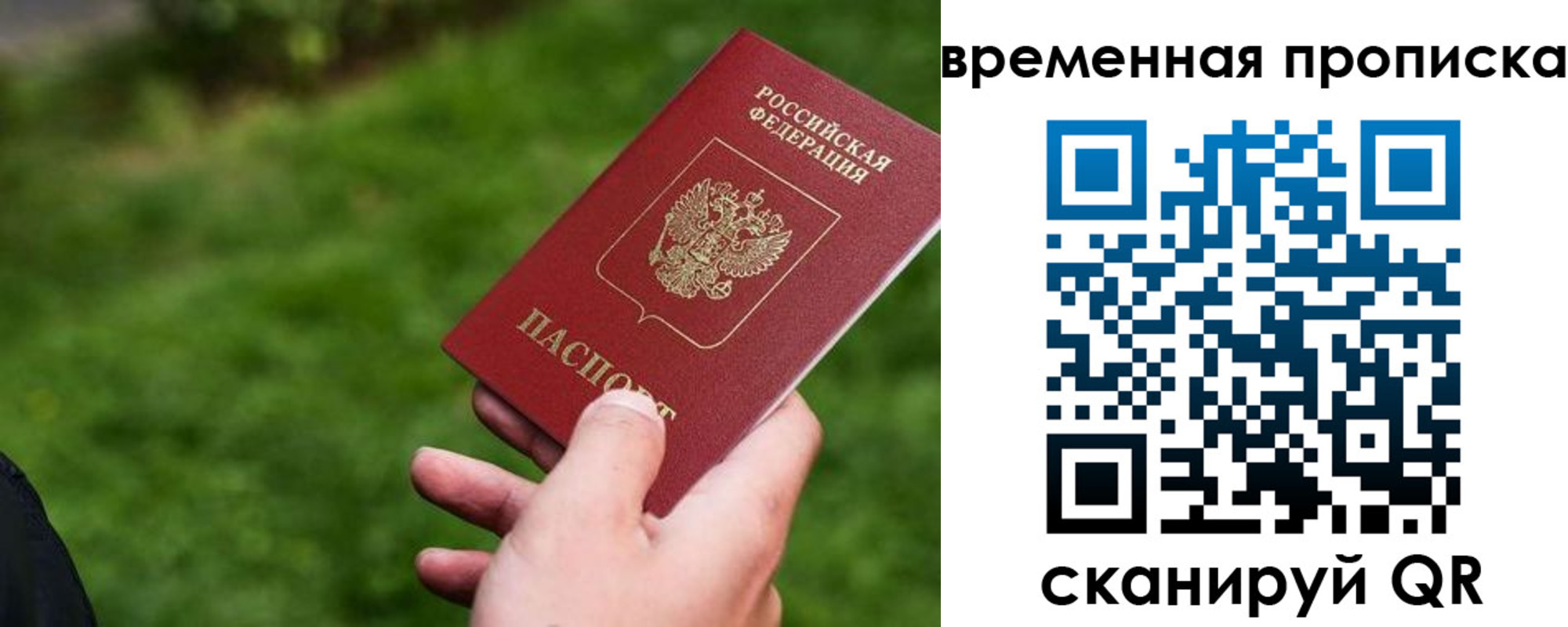 прописка 2025 в Снежногорске